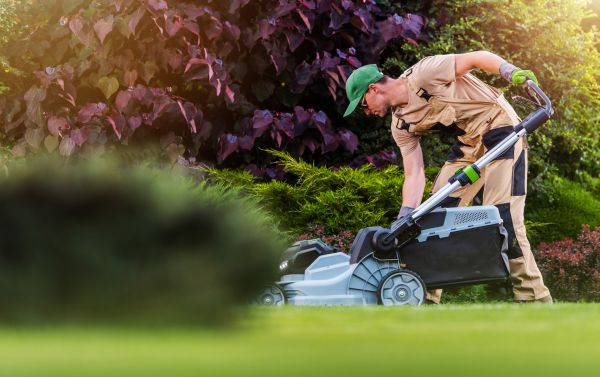 Cost of Lawn Care And Maintenance in Peoria