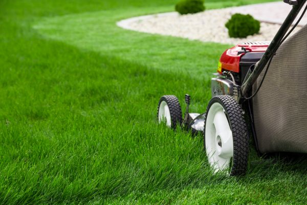 Cost of Lawn Cutting Service in Peoria