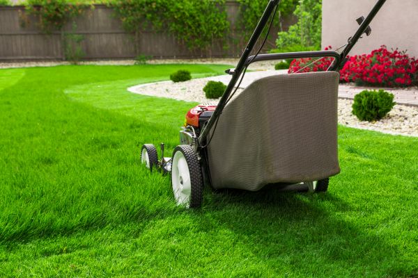 Cost of Lawn Mowing in Peoria