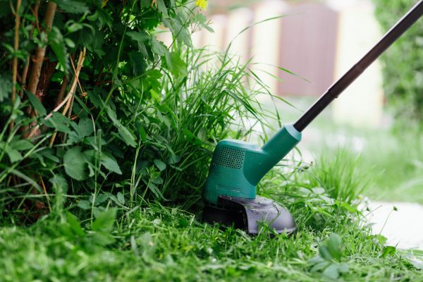 Cost of Weed Whacking in Peoria