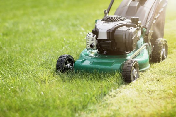 Cost of Yard Cutting in Peoria