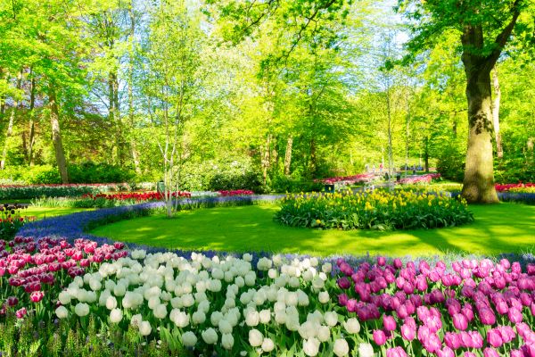 Cost of Spring Lawn Care in Peoria