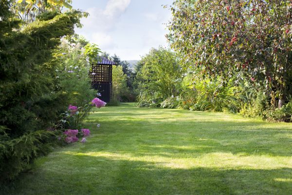 Cost of Yard Upkeep Service in Peoria