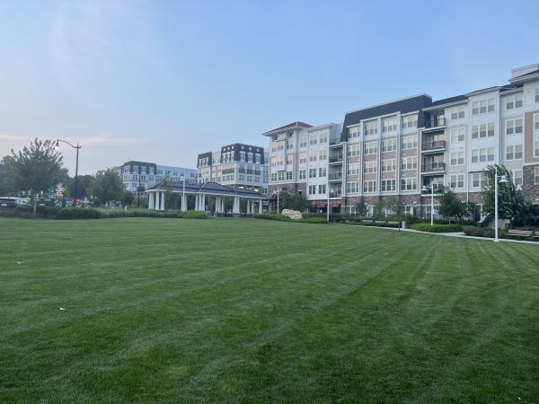 Cost of Urban Lawn Care in Peoria