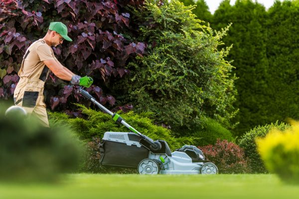 Cost of Lawn Management in Peoria