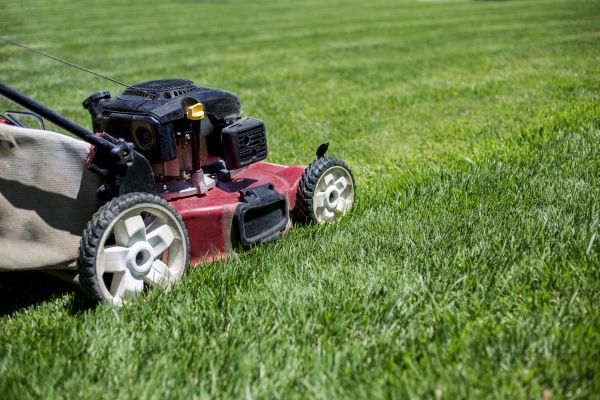 Cost of Routine Lawn Care in Peoria