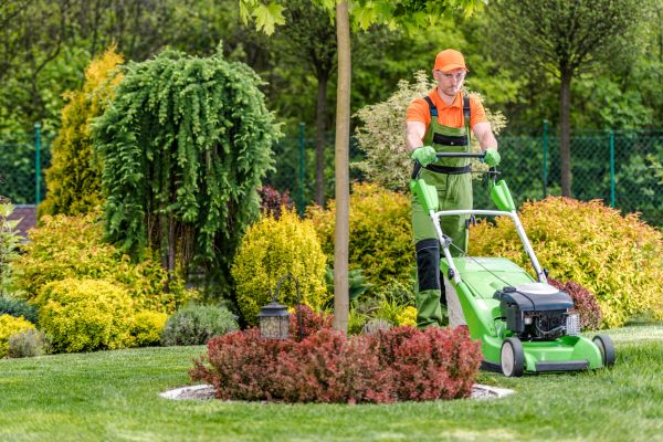 Commercial Yard Maintenance in Peoria