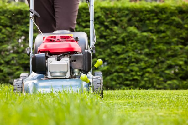 Cost of Grass Trimming Service in Peoria