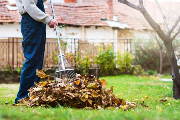 Cost of Routine Lawn Maintenance in Peoria
