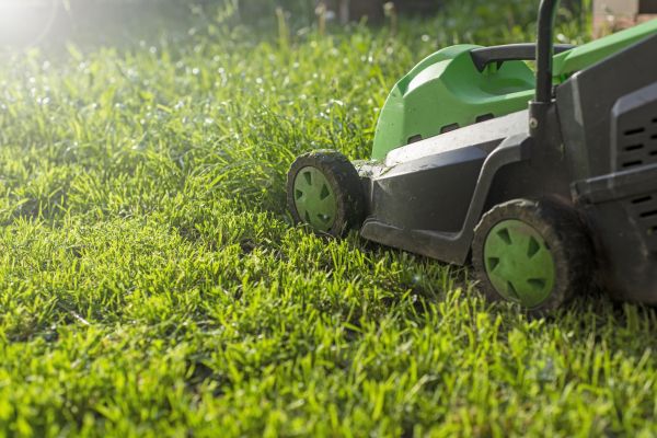 Cost of Lot Mowing in Peoria