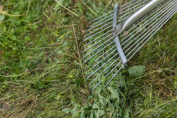 Cost of Thatch Raking in Peoria