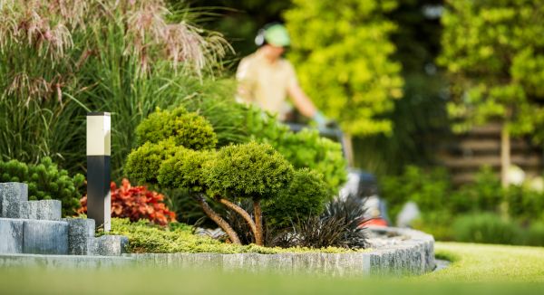 Cost of Residential Yard Maintenance in Peoria