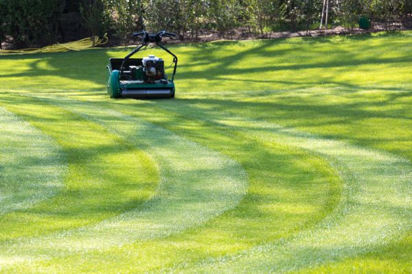 Business Lawn Mowing in Peoria