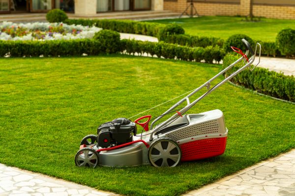 Business Grass Cutting in Peoria