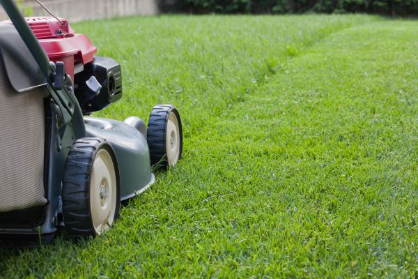 Cost of Spring Lawn Maintenance in Peoria