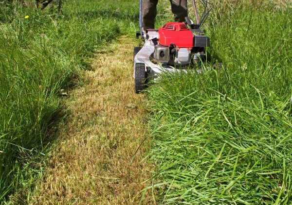 Cost of Leaf Mowing in Peoria