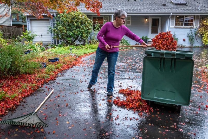Fall Leaf Cleanup in Action
