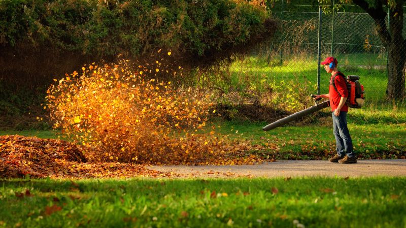 Leaf Blowing Equipment