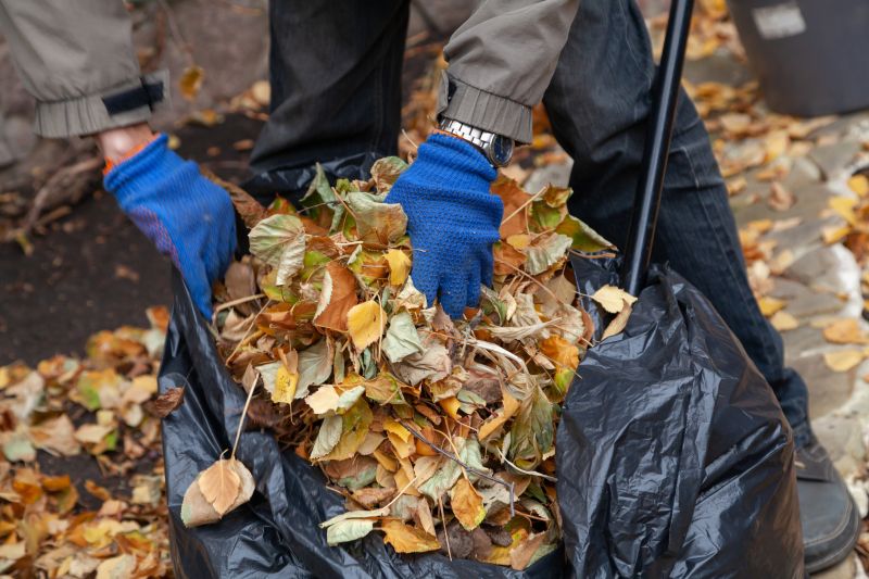 Leaf Piles Ready for Pickup
