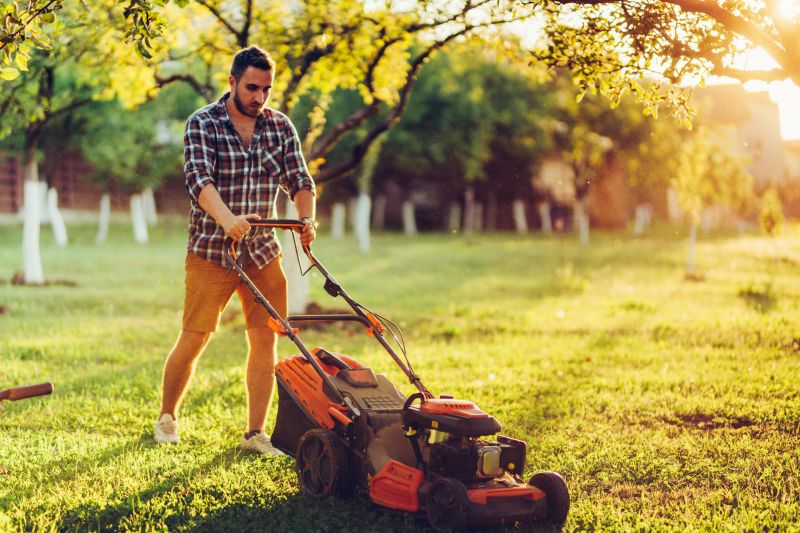 Seasonal Lawn Care